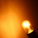 10pcs E14 Salt Lamp Globe Bulb 15W Light Bulb 240V Refrigerator Oven Replacement