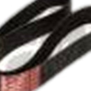 Ribbed Belt 7PK1750 Suitable For Honda Accord Euro 2.4 (CL9), 2.4 (CU)
