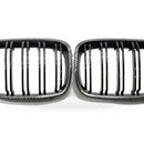 Carbon Texture Double Line Grille Suitable for BMW 1 Series F20 2011-2014 - XQ1