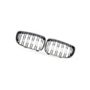 1 Series BMW E81 E87 08-11 Carbon Fiber Dual Line Front Grille Mesh - BD1