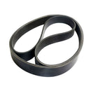 Drive Fan Belt Suitable for Ford Falcon SX SY SZ 4.0L 6cyl TS TX Ghia 2004-2012