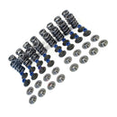 .660 Lift Dual Valve Spring Kit Suitable for LS1 LS2 LS3 LS4 LS6 LQ4 LQ9 Engines