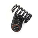 .625 Lift Beehive Valve Spring Kit Suitable for LS1 LS2 LS3 LS6 LQ4 LQ9 Engines