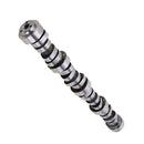 Stage 3 Camshaft Suitable For Holden Commodore VT-VZ HSV LS1 LS2 LS3 L98 4.2 5.0