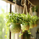 S Shaped Hooks Small Metal for Hanging Plants Mini Ornament Hooks Black Hangers