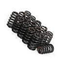 .625 Lift Beehive Valve Spring Kit Suitable for LS1 LS2 LS3 LS6 LQ4 LQ9 Engines