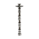 Exhaust Camshaft Lifters Suitable for Mazda 6 CX-5 3 2.2 Diesel